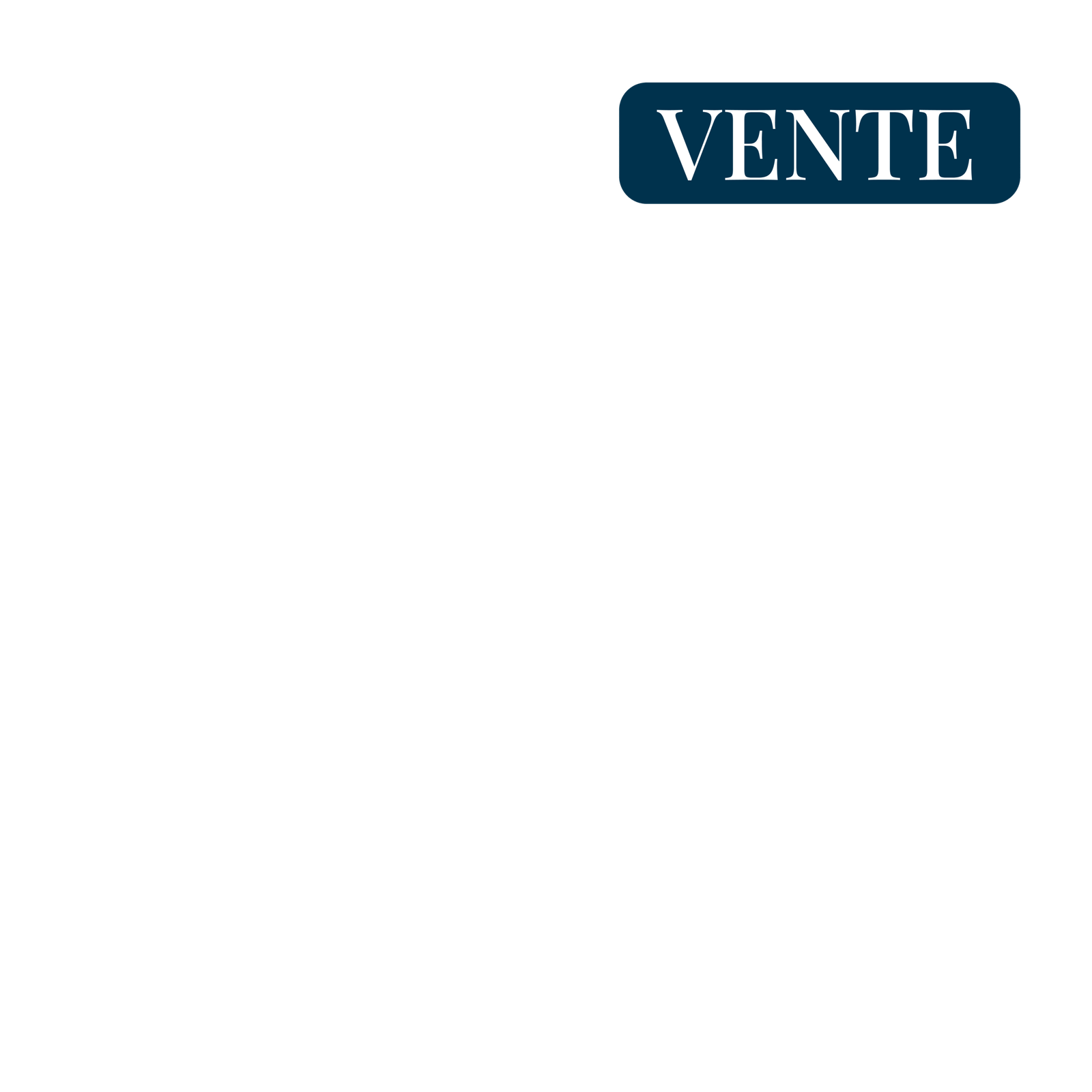 vente - mandataire immobilier rumilly