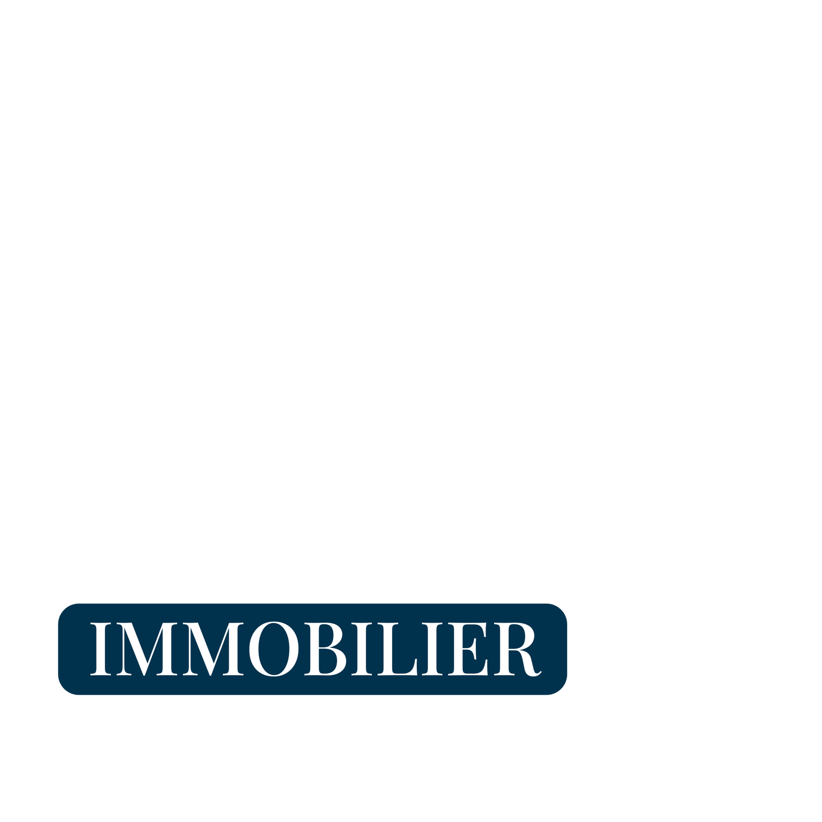 immobilier rumilly